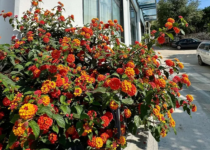 Vila51 Tropical Deluxe Apartment Sarande