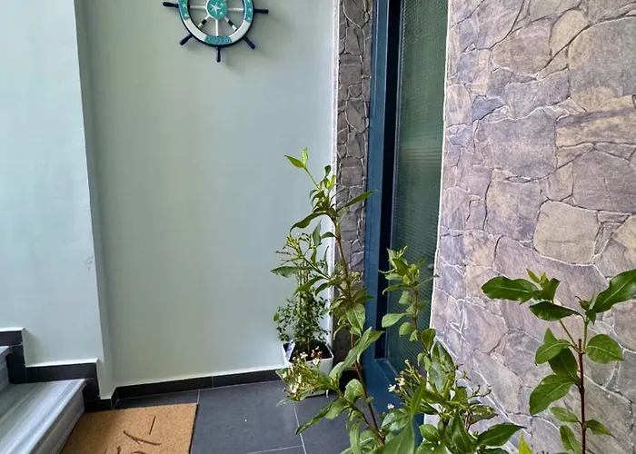 Vila51 Tropical Deluxe