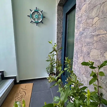 Vila51 Tropical Deluxe