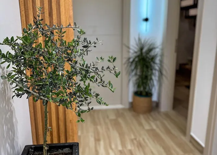 公寓 Vila51 Tropical Deluxe